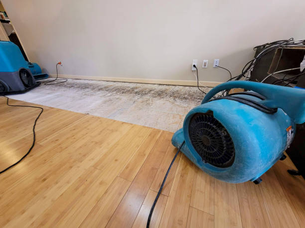 Professional Structural Drying technician working in Ogdensburg, WI